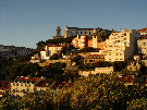 IMGP3416.jpg