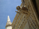IMGP3680.jpg