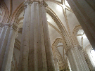 IMGP4107.jpg