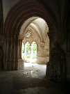 IMGP4152.jpg