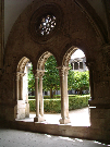 IMGP4154.jpg