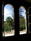 IMGP4432.jpg
