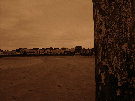 IMGP5516.jpg