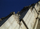 IMGP5574.jpg