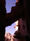 IMGP5092.jpg