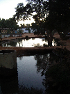 IMGP5154.jpg