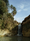IMGP5270.jpg