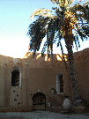 IMGP5374.jpg
