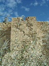 IMGP5394.jpg