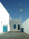 IMGP5437.jpg