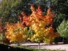 IMGP7214.JPG
