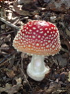 IMGP7217.JPG