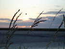 IMGP2302.jpg