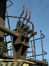 IMGP1231.jpg